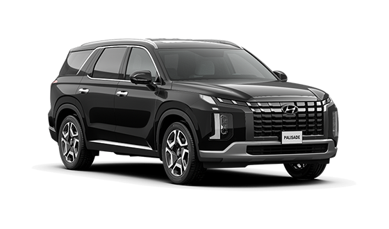 Hyundai Palisade New